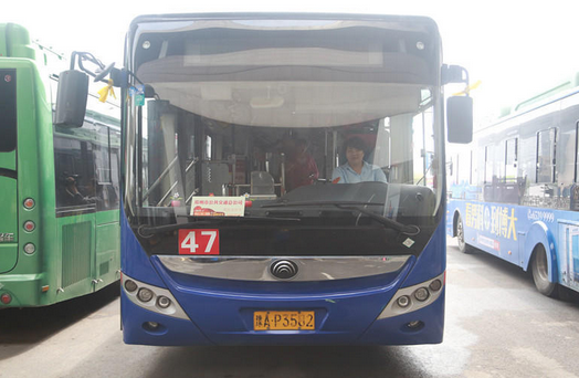 郑州公交车长为高考生减压 药品文具备齐打造爱心车厢