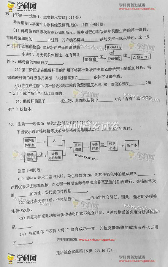 2016宁夏高考理科综合试题及答案