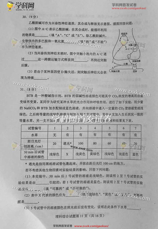 2016宁夏高考理科综合试题及答案