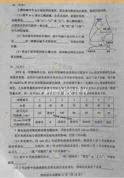2016青海高考理科综合试题及答案