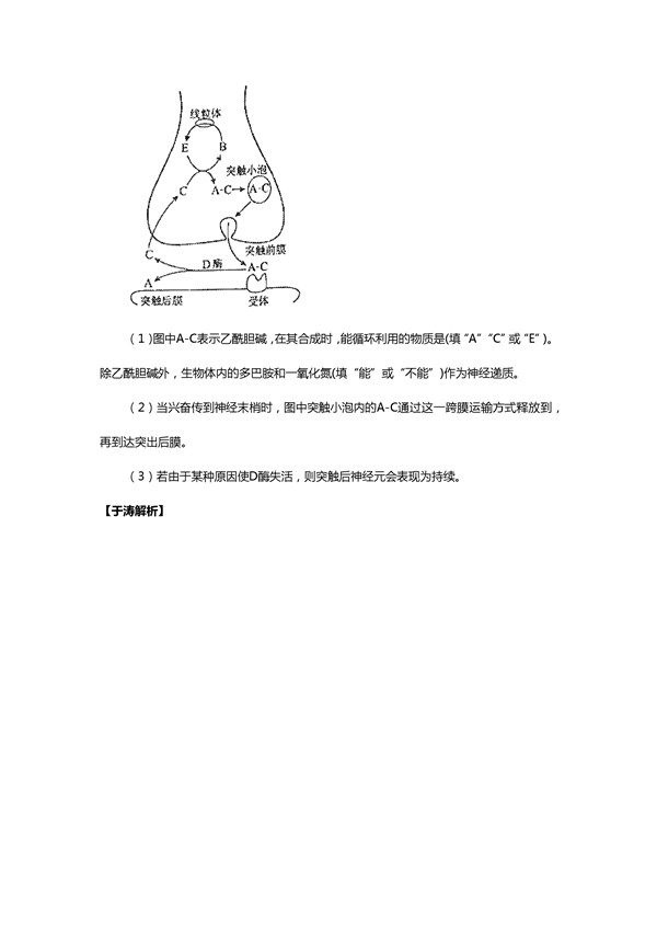 于涛解析2016新课标2卷高考生物试题(二)