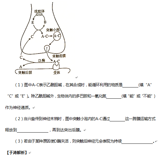 于涛解析2016高考新课标II生物试题(二)