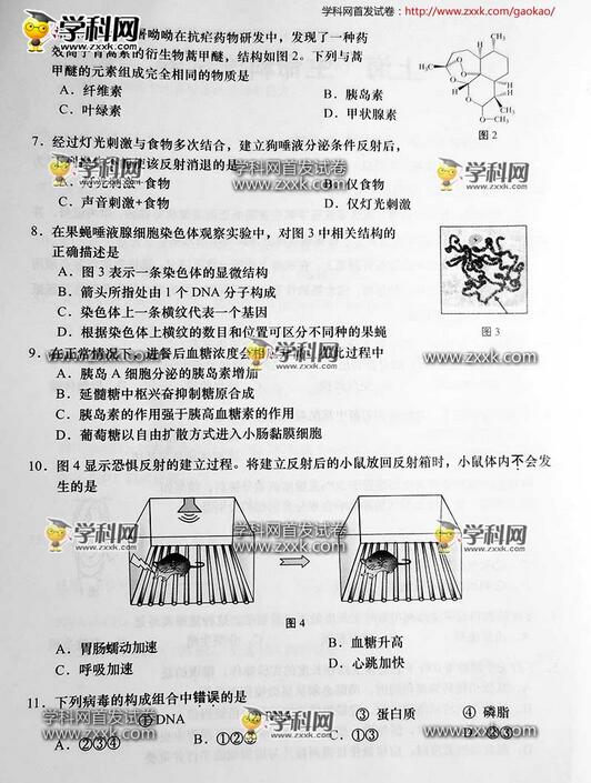 2016上海高考生物试题及答案