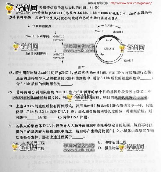 2016上海高考生物试题及答案