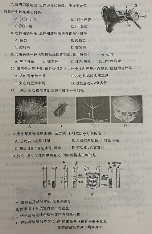 2016山东烟台中考生物试题及答案