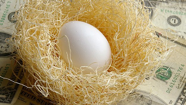 A nest egg 储备金