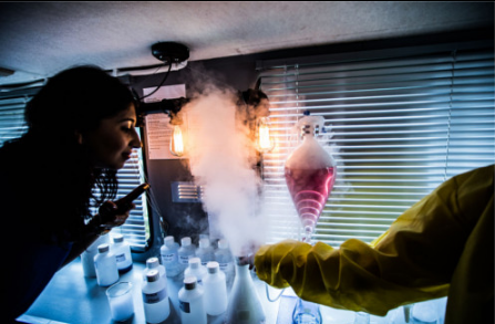 新概念裸体餐馆 巴黎人民好害羞