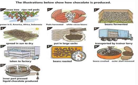 雅思写作小作文流程图解析及范文：巧克力的生产过程