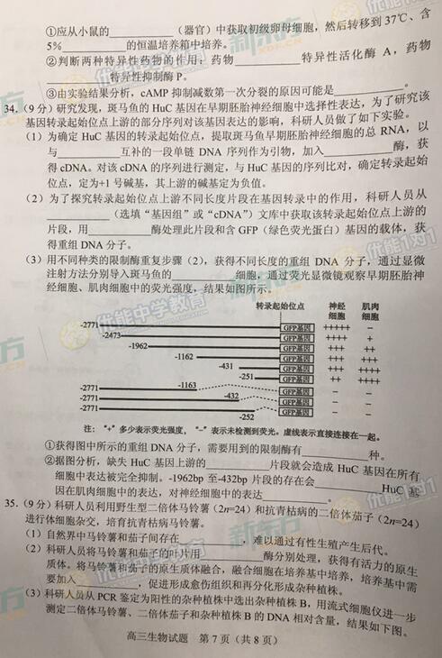 2016-2017学年北京海淀高三期中生物试题及答案