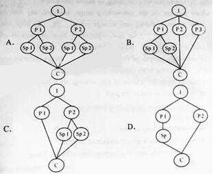 历年高考英语阅读理解真题及答案 历年高考英语阅读理解真题及答案