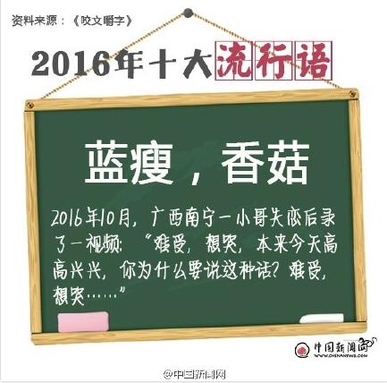 2016年十大流行语公布.jpg 2016年十大流行语公布