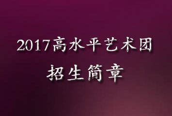 2017高水平艺术团招生简章
