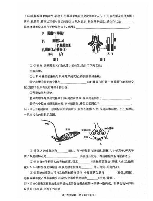 2017合肥一模生物试题