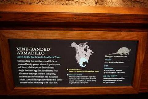 美国博物馆文化与托福考试