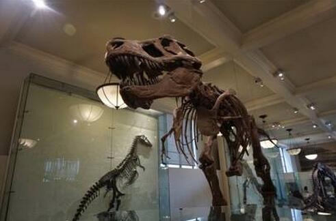 美国博物馆文化与托福考试