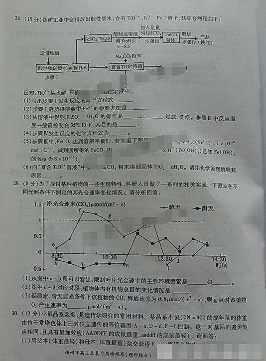 2017梅州一模理综试题及答案