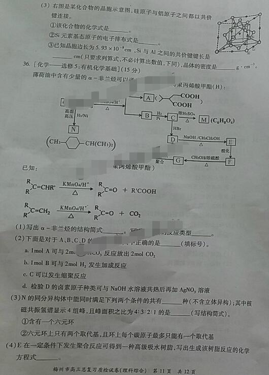 2017梅州一模理综试题及答案