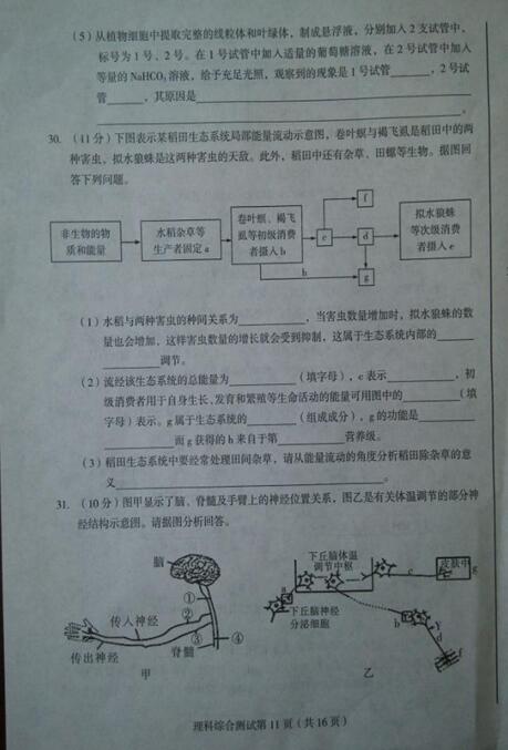 2017东北三省四市一模理综试题及答案