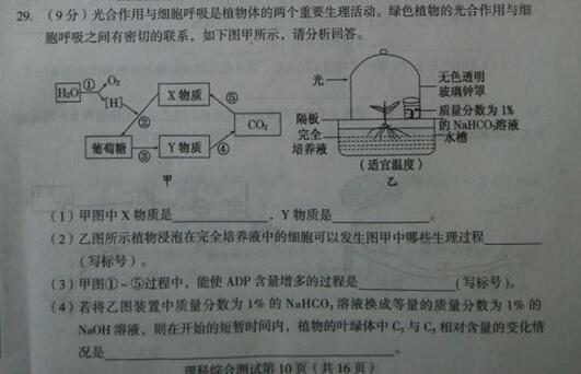 2017东北三省四市一模生物试题及答案