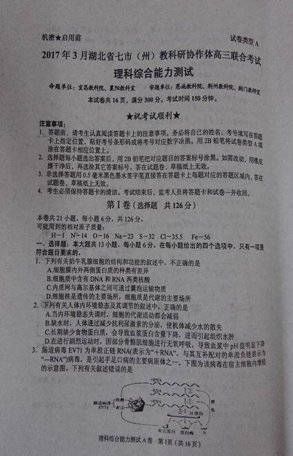 高考语文,高考数学,高考英语,高考理综,高考文综,高考真题图片
