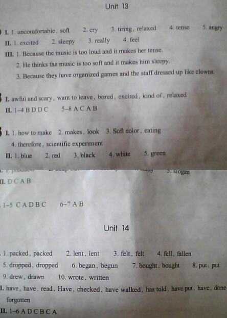 九年级下册英语作业本答案