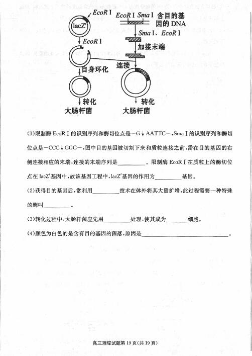 2017合肥二模理综试题及答案