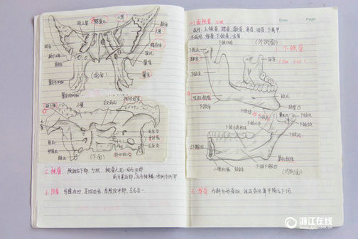 大二女生解剖学笔记惊艳走红