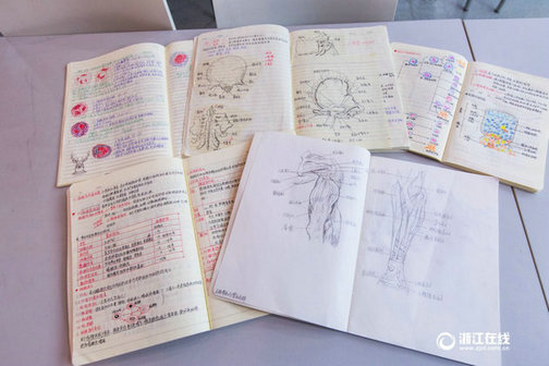 大二女生解剖学笔记惊艳走红