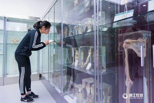 大二女生解剖学笔记惊艳走红