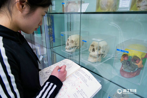 大二女生解剖学笔记惊艳走红