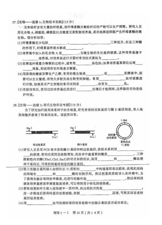 2017太原一模理综试题及答案