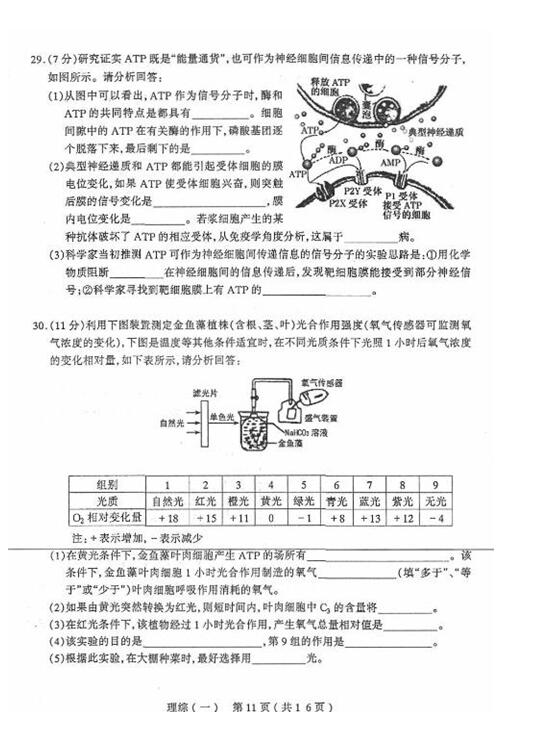 2017太原一模理综试题及答案