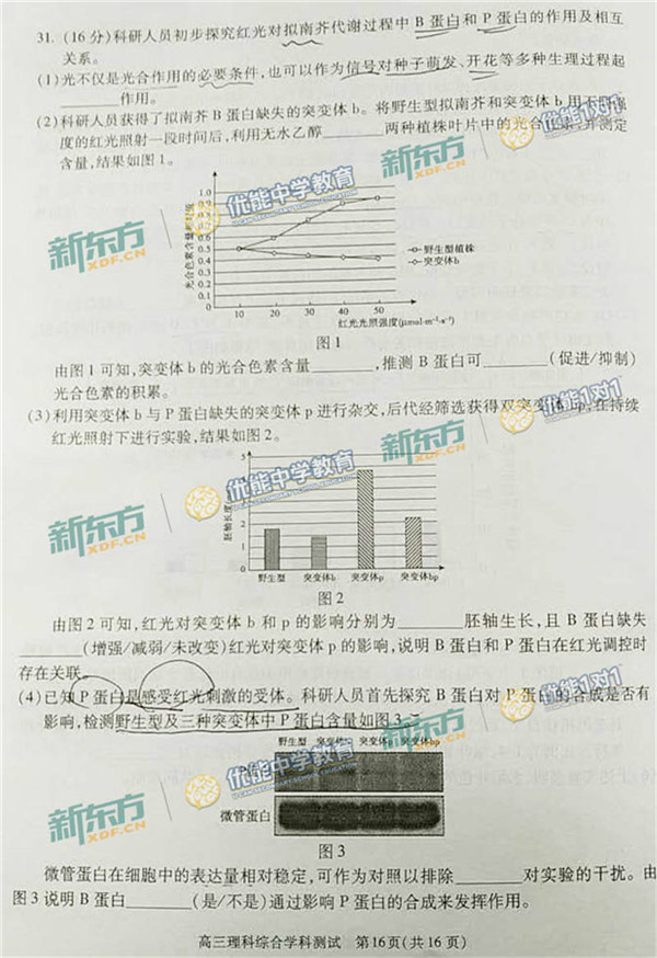 2017北京朝阳区高三一模理综试题及答案