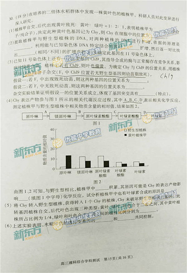 2017北京朝阳区高三一模理综试题及答案