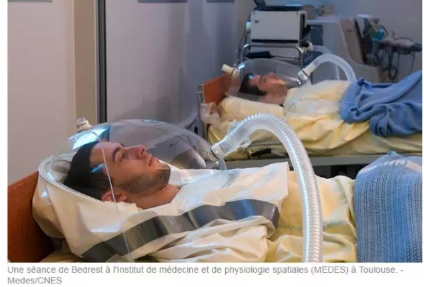 4.png 微博热搜:躺两个月给10万块 法国这工作也太容易了