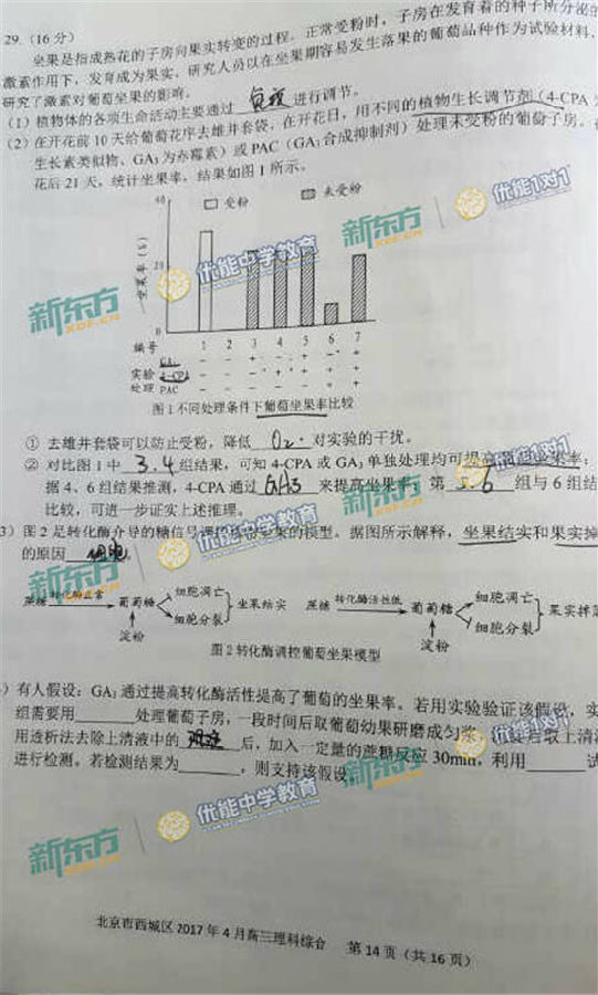 2017北京西城区高三一模物理试题及答案