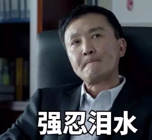 心疼达康书记学习有关背黑锅的英文表达双语