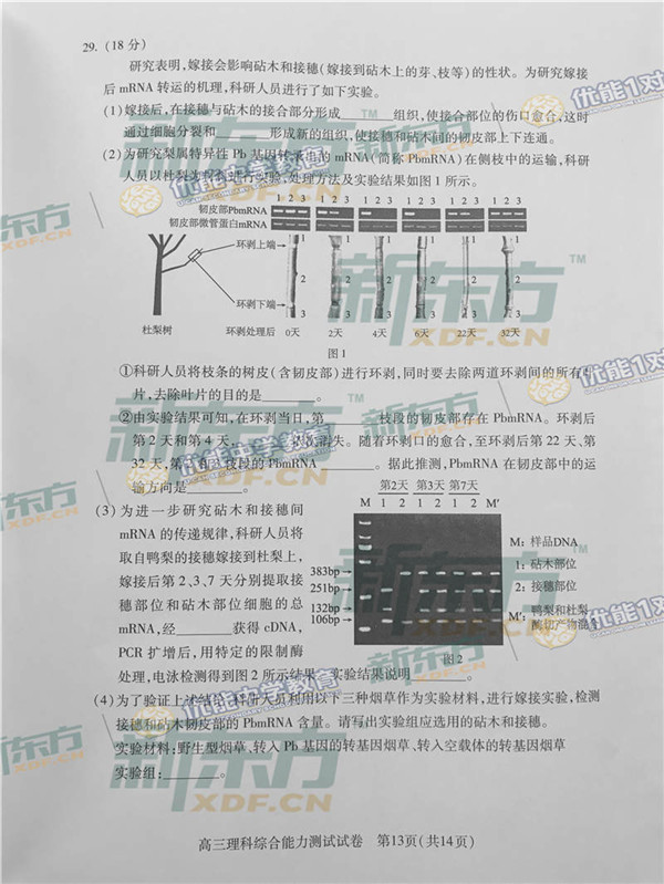 2017北京海淀区高三二模理综试题及答案