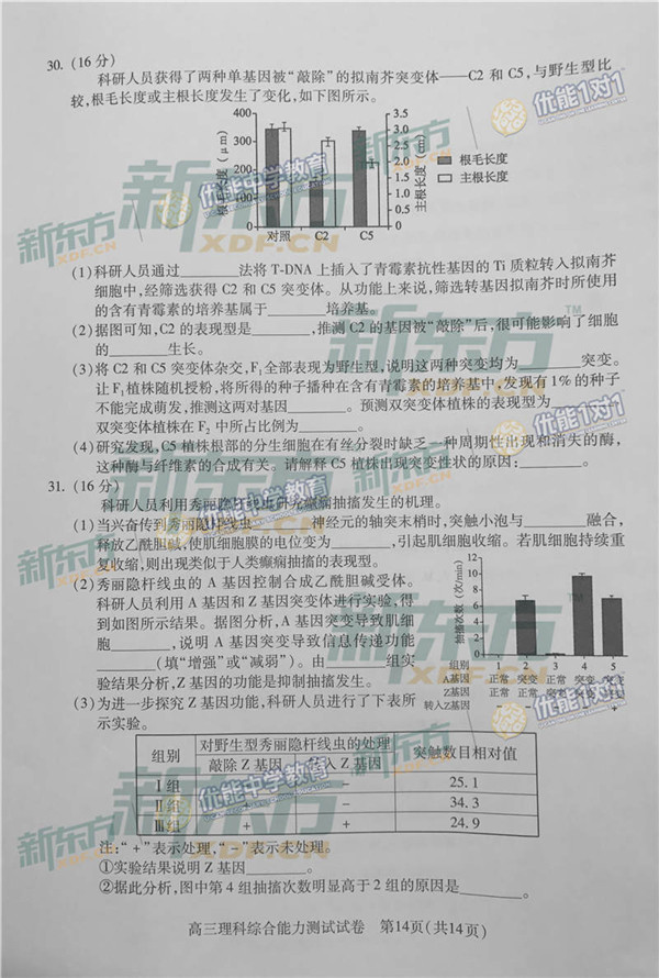 2017北京海淀区高三二模生物试题及答案