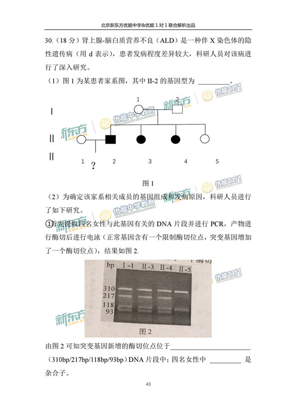 2017北京朝阳区高三二模理综试题答案解析