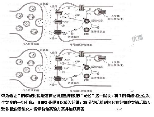 2017北京高考生物答案及解析