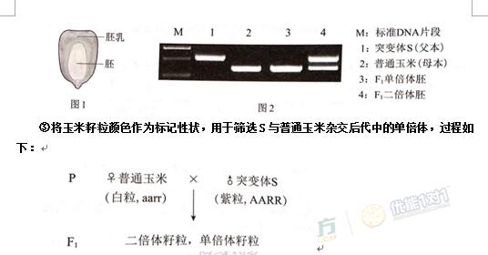 2017北京高考生物答案及解析