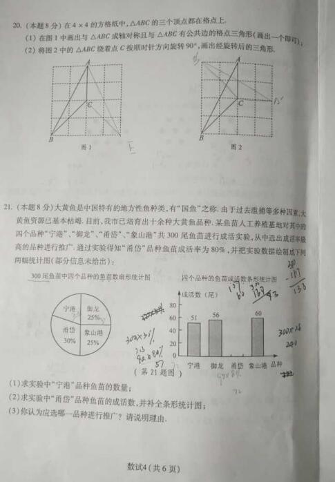 浙江宁波2017中考数学试题及答案