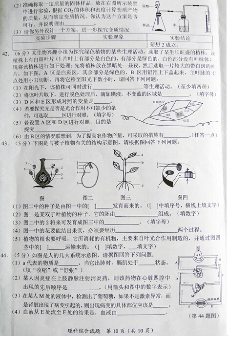 湖北随州2017中考理科综合试题及答案