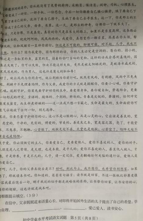 山东淄博2017中考语文试题及答案