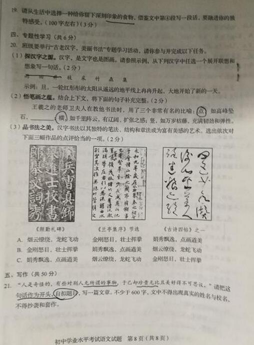 山东淄博2017中考语文试题及答案