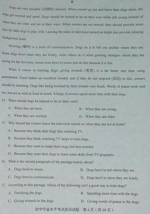 山东淄博2017中考英语试题及答案