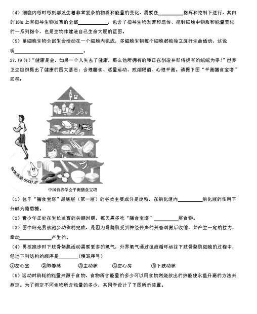 山东东营2017中考生物试题及答案