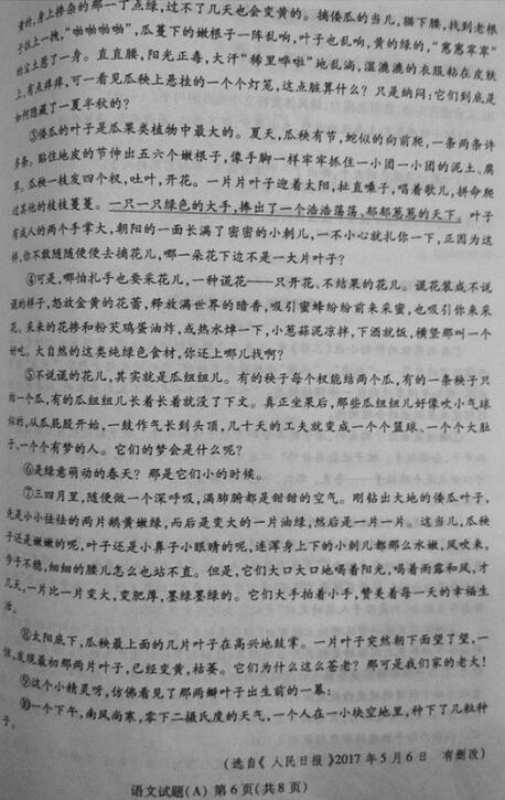 山东潍坊2017中考语文试题及答案
