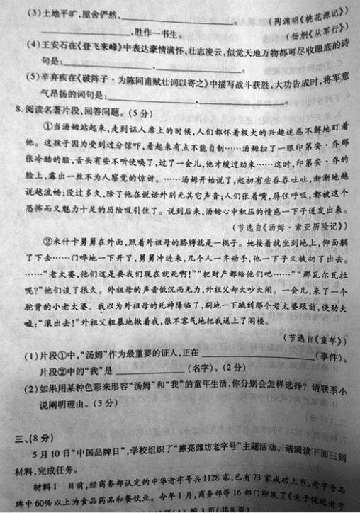 山东潍坊2017中考语文试题及答案